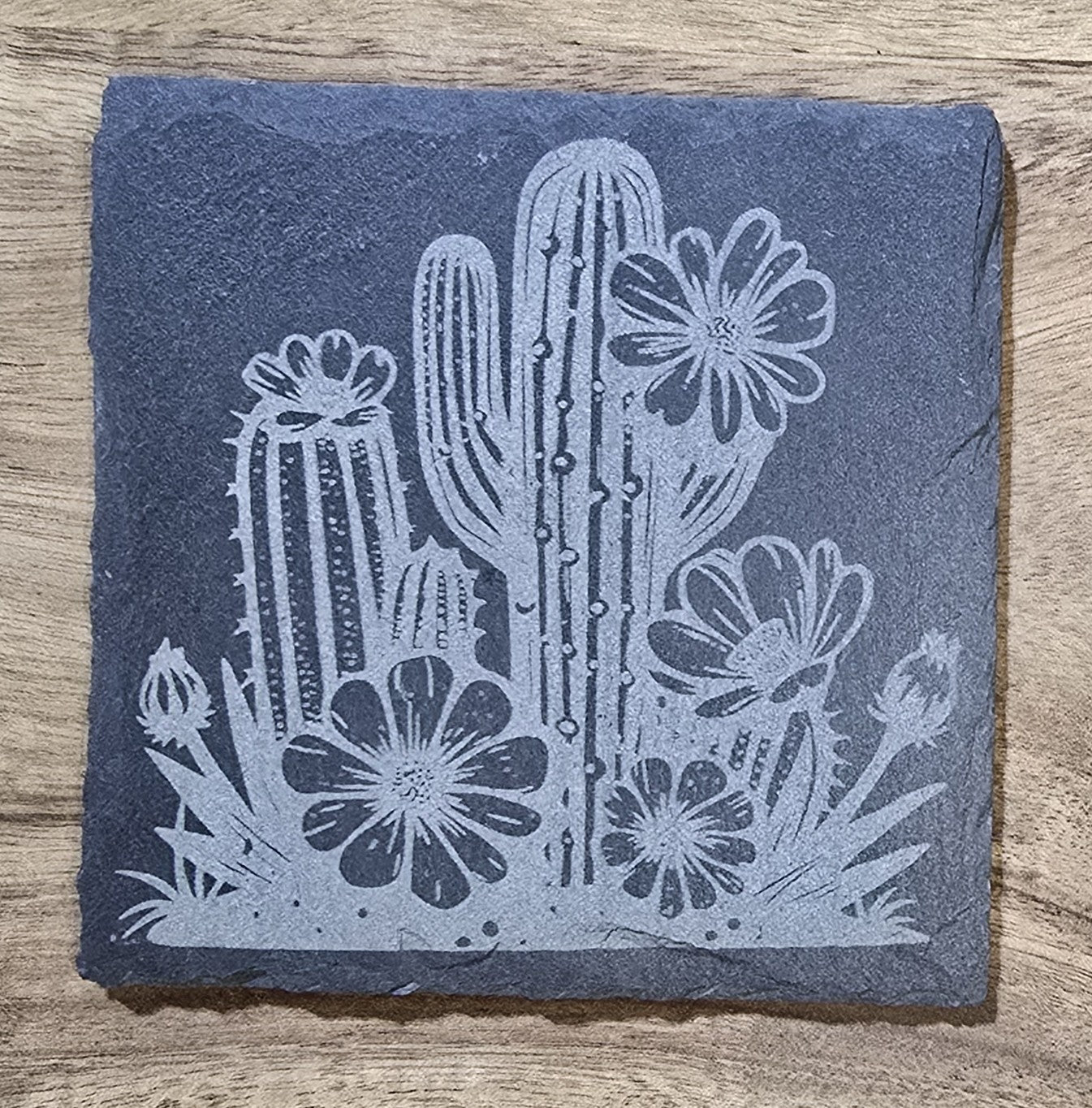 Arizona & Desert Coasters