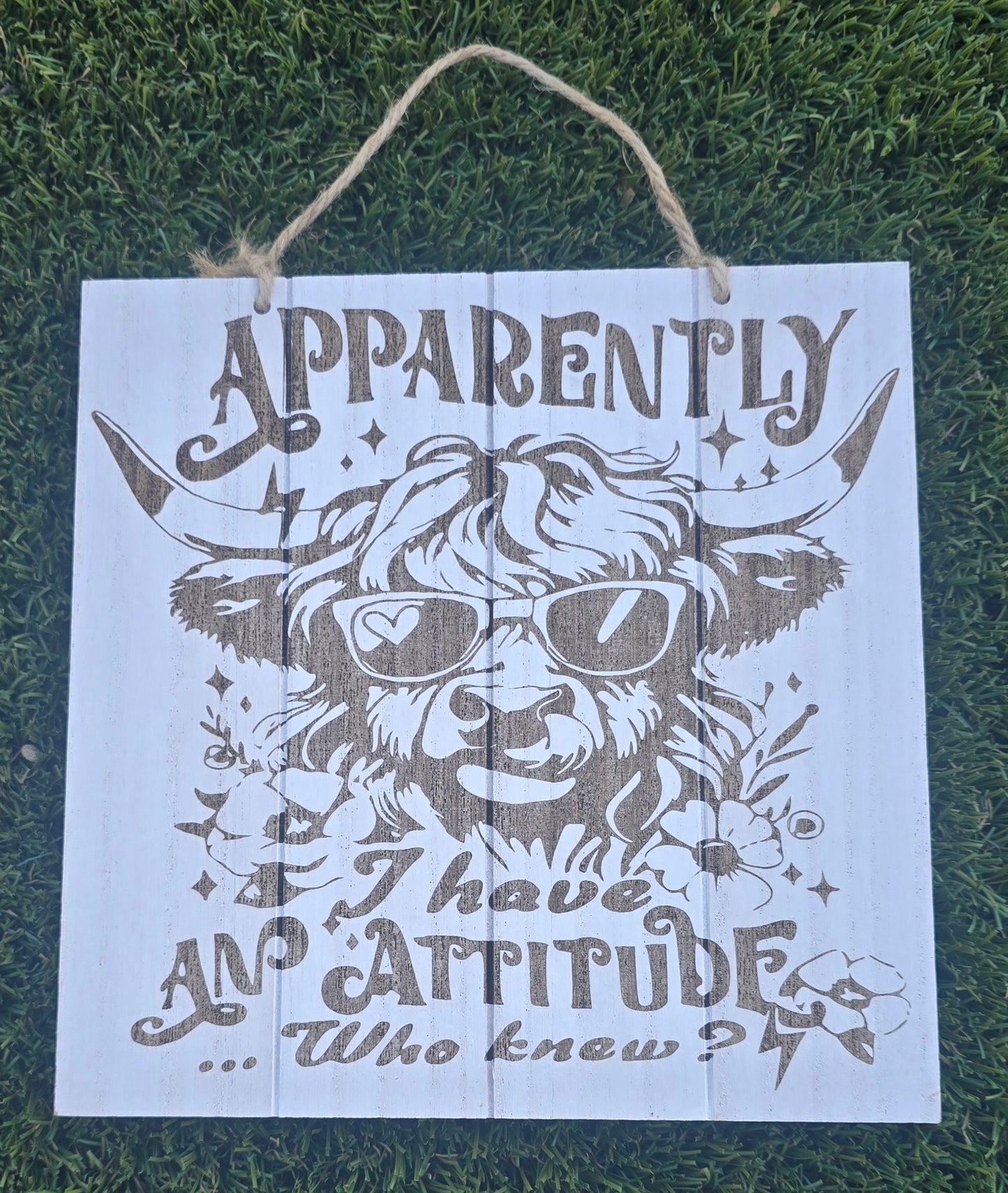 Apparently I have an Attitude, Who Knew?