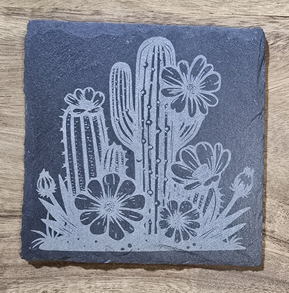 Arizona & Desert Coasters