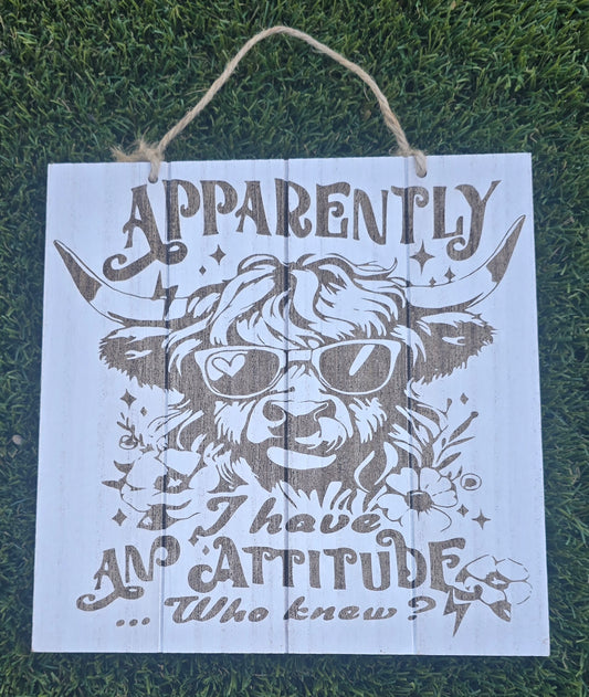 Apparently I have an Attitude, Who Knew?